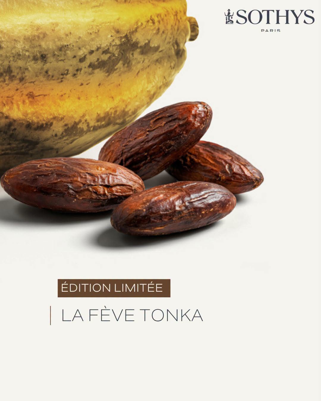 la-feve-tonka-produit-saison-automne-hiver-2026-Sothys-Paris-Esthetique-Amelie-Laforme-Trois-rivieres